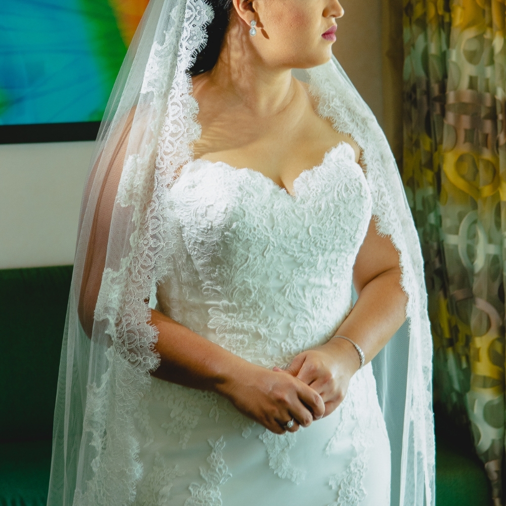 Pronovias White Faciel One Ivory Lace - Picture 6 of 7